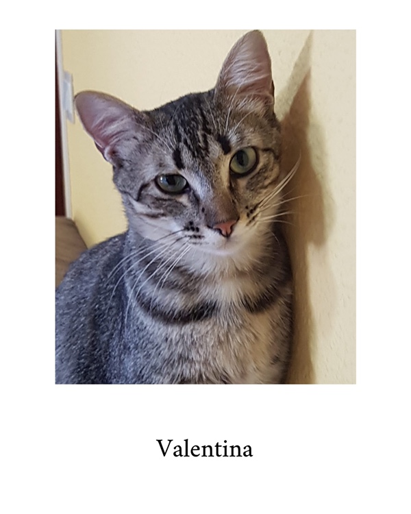 Valentina