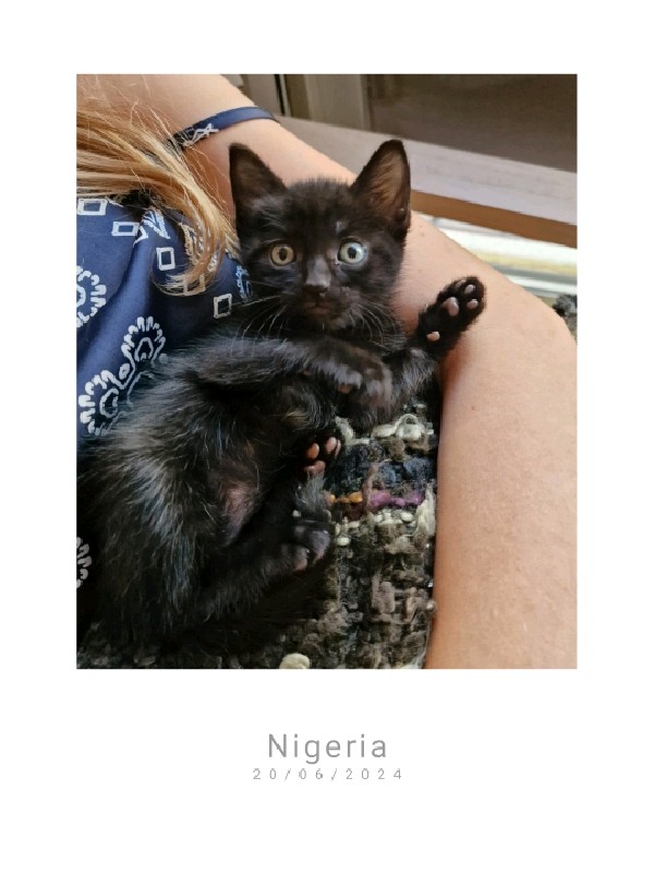 Foto de Nigeria