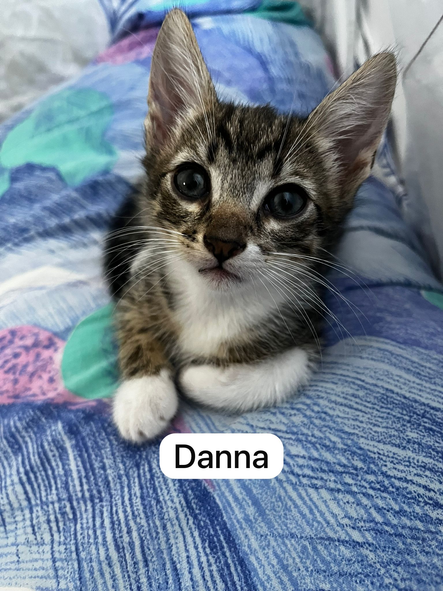 Danna