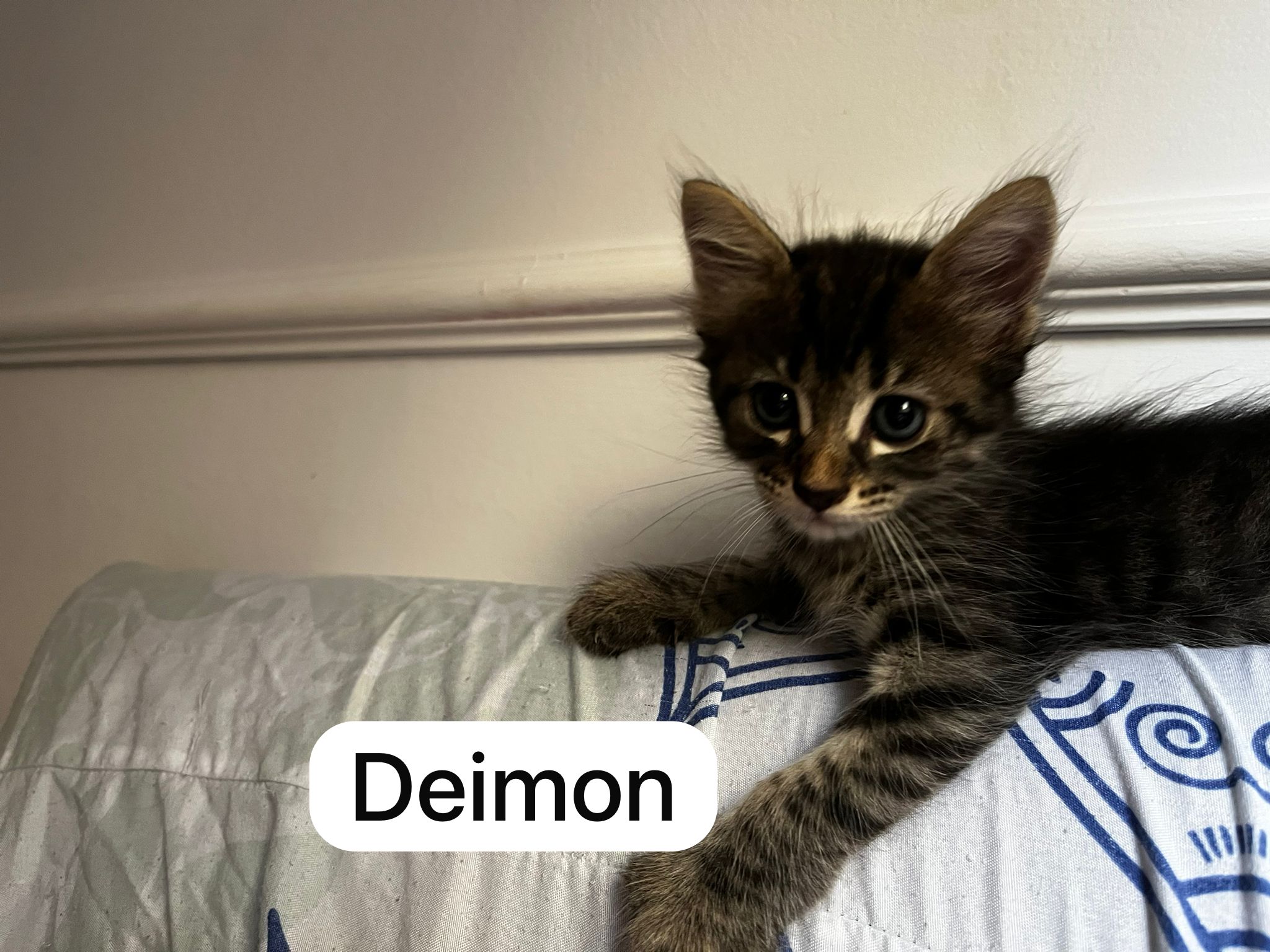 Deimon