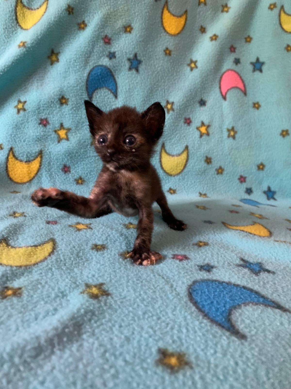 Taki